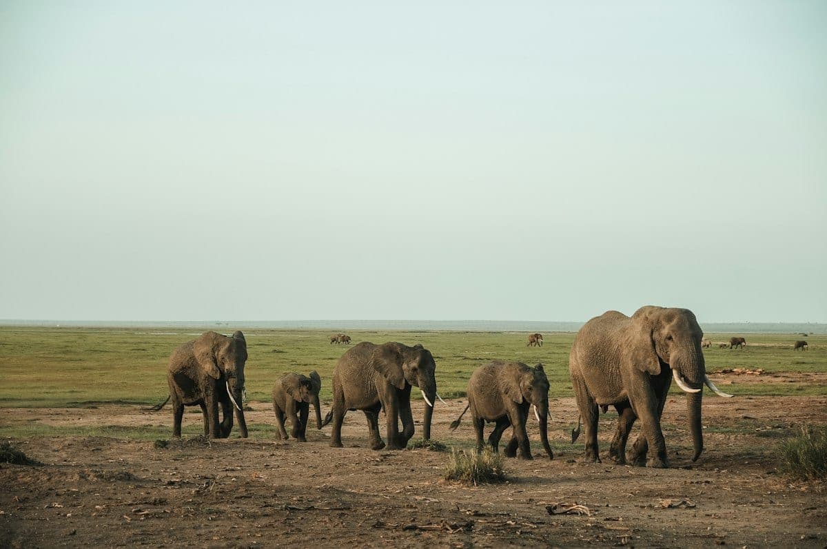 Botswana